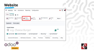 Website
Enterprise
 