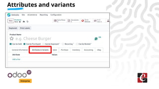 Attributes and variants
Enterprise
 