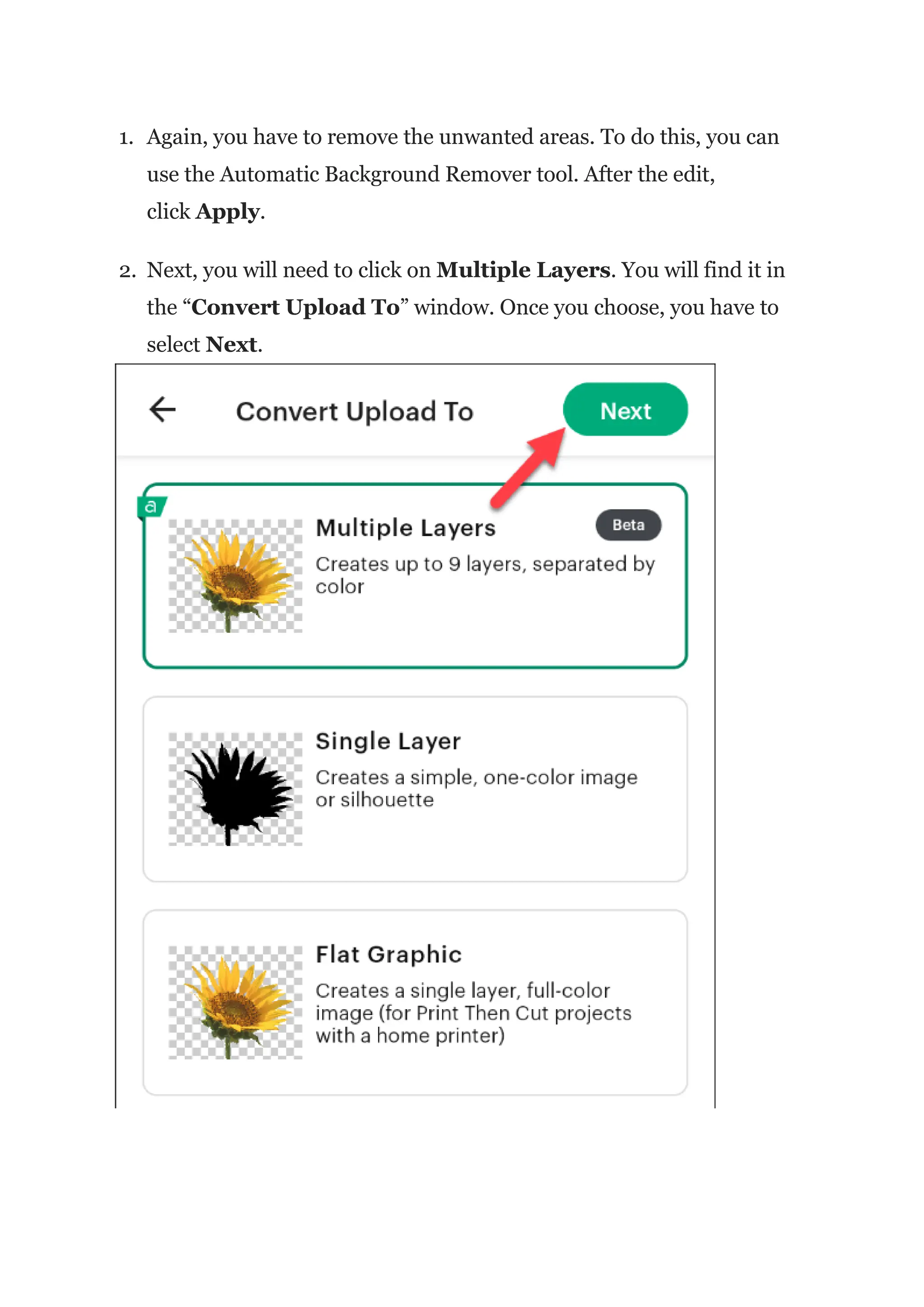 1. Again, you have to remove the unwanted areas. To do this, you can
use the Automatic Background Remover tool. After the edit,
click Apply.
2. Next, you will need to click on Multiple Layers. You will find it in
the “Convert Upload To” window. Once you choose, you have to
select Next.
 