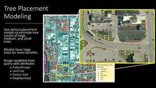 How to set achievable tree canopy goals | PDF