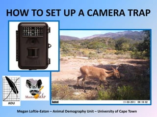 ADU
HOW TO SET UP A CAMERA TRAP
Megan Loftie-Eaton – Animal Demography Unit – University of Cape Town
 