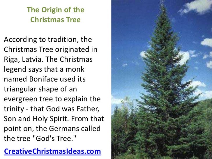 how to set up a christmas tree how to set up a christmas tree