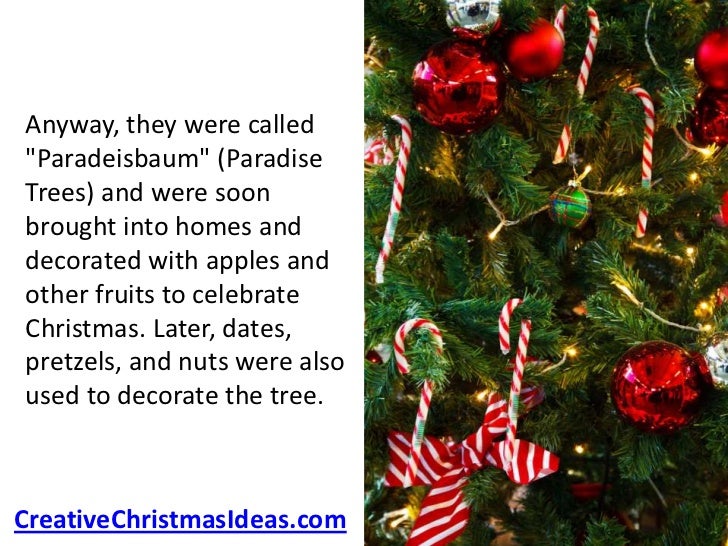 how to set up a christmas tree how to set up a christmas tree