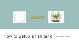 How to Setup a fish tank By Fantastic Furries 
 