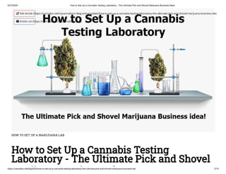 How to Set Up a Marijuana Testing Lab - The Ultimate Pick and Shovel Weed Business