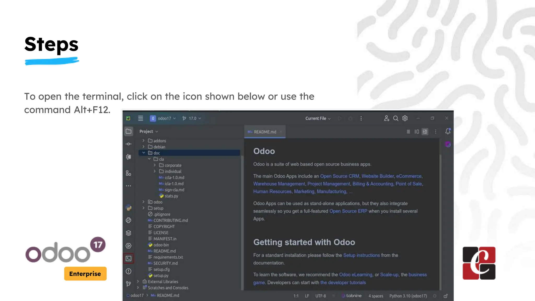 Steps
Enterprise
To open the terminal, click on the icon shown below or use the
command Alt+F12.
 