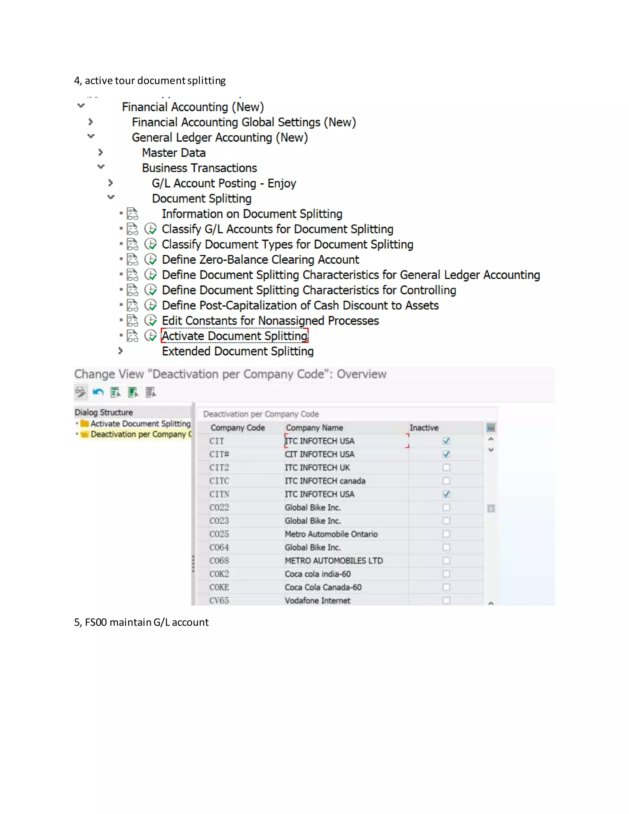 4, active tour documentsplitting
5, FS00 maintainG/L account
