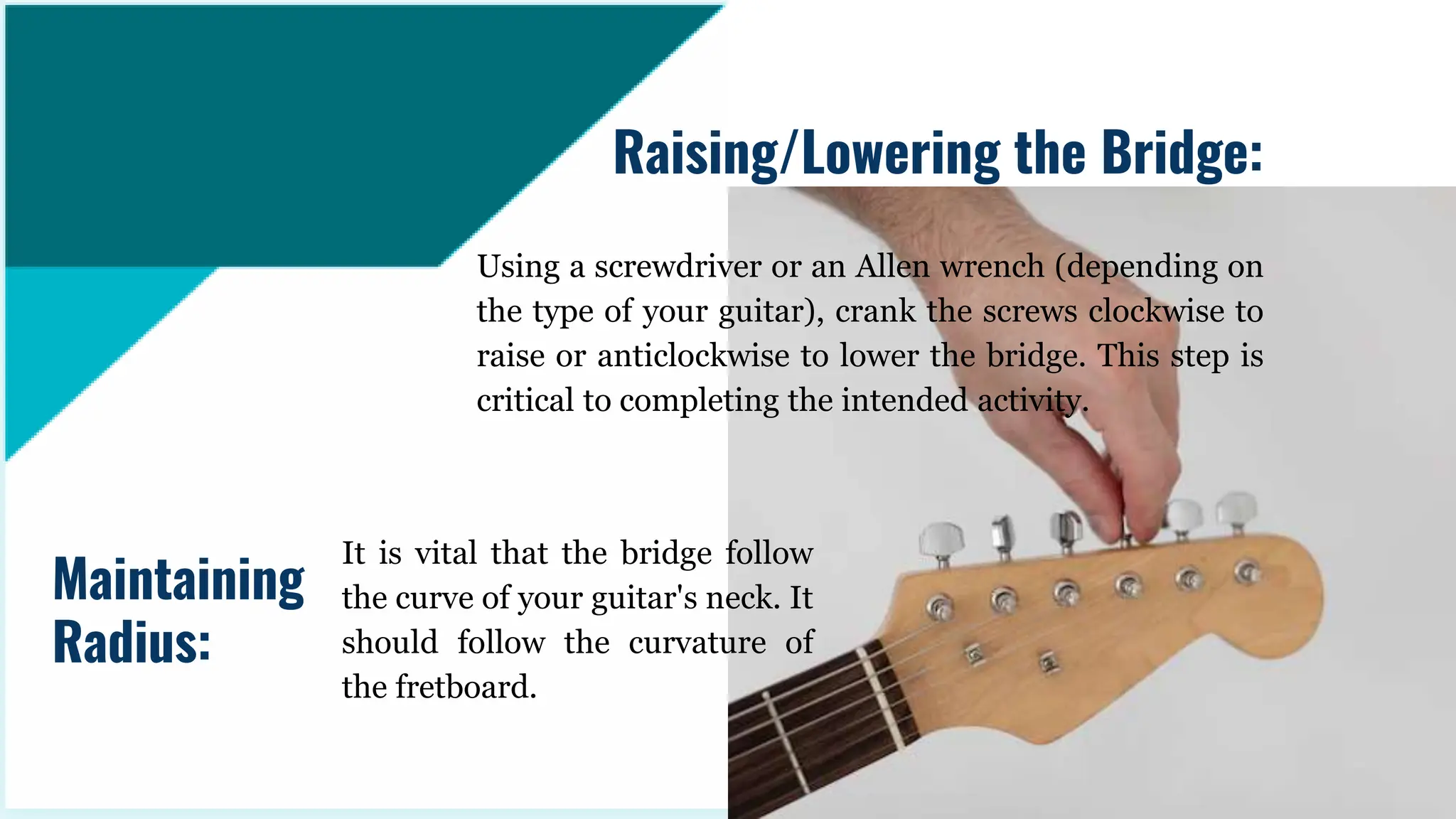 Using a screwdriver or an Allen wrench (depending on
the type of your guitar), crank the screws clockwise to
raise or anticlockwise to lower the bridge. This step is
critical to completing the intended activity.
Raising/Lowering the Bridge:
Maintaining
Radius:
It is vital that the bridge follow
the curve of your guitar's neck. It
should follow the curvature of
the fretboard.
 