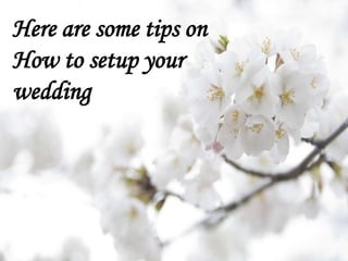 Here are some tips on
How to setup your
wedding

 
