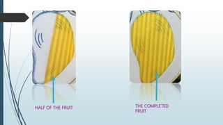 HALF OF THE FRUIT THE COMPLETED
FRUIT
 