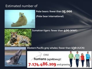 Polar bears: fewer than 25.000
(Polar bear international)
Western Pacific grey whales: fewer than 130 (IUCN)
Sumatran tige...