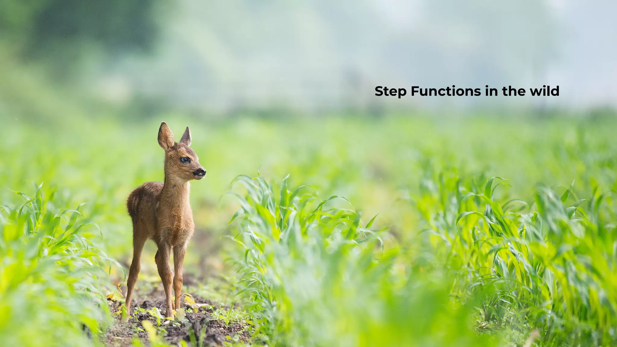 Step Functions in the wild
 