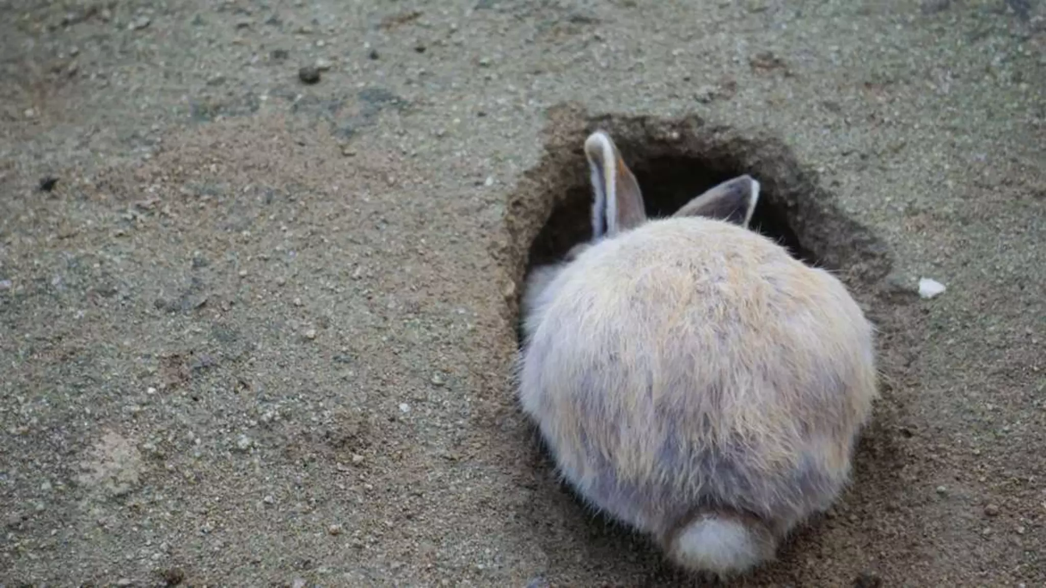 Lukecarthy.com @MrLukeCarthy
 