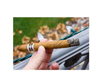 How to smoke a cigar properly