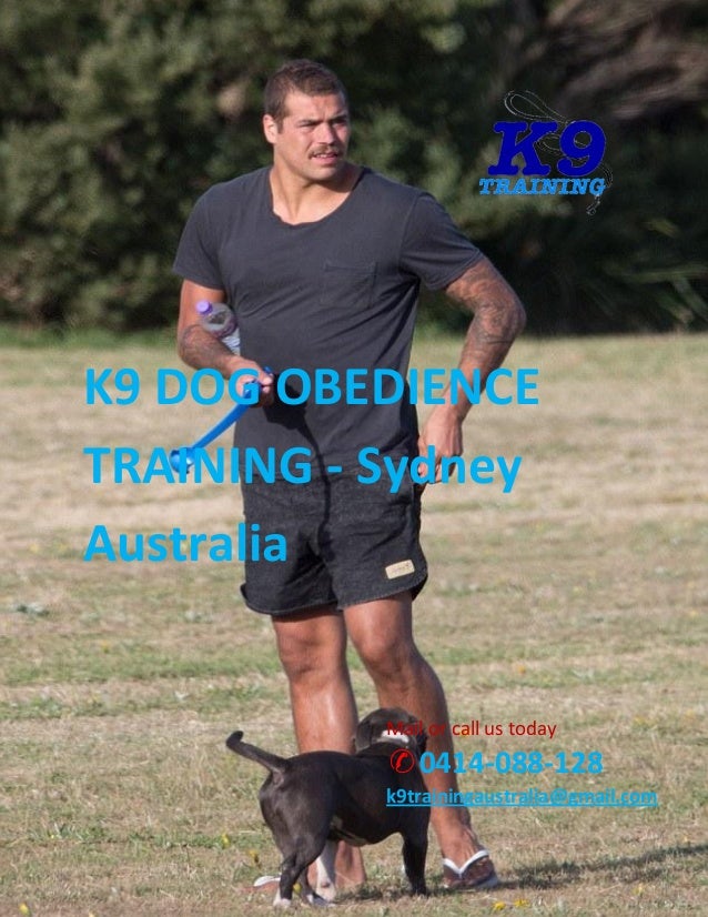 How to Solve Dog Problems Sydney Change Dog Behaviour Training
