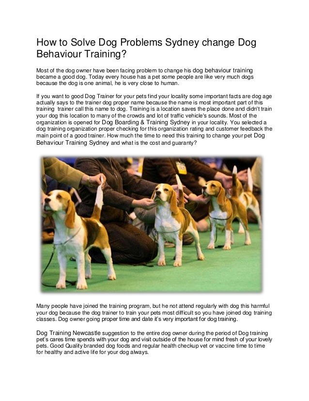 How to Solve Dog Problems Sydney Change Dog Behaviour Training