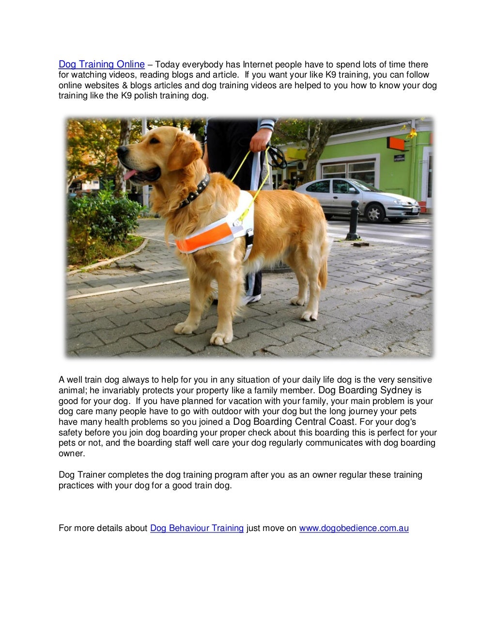 How to Solve Dog Problems Sydney Change Dog Behaviour Training