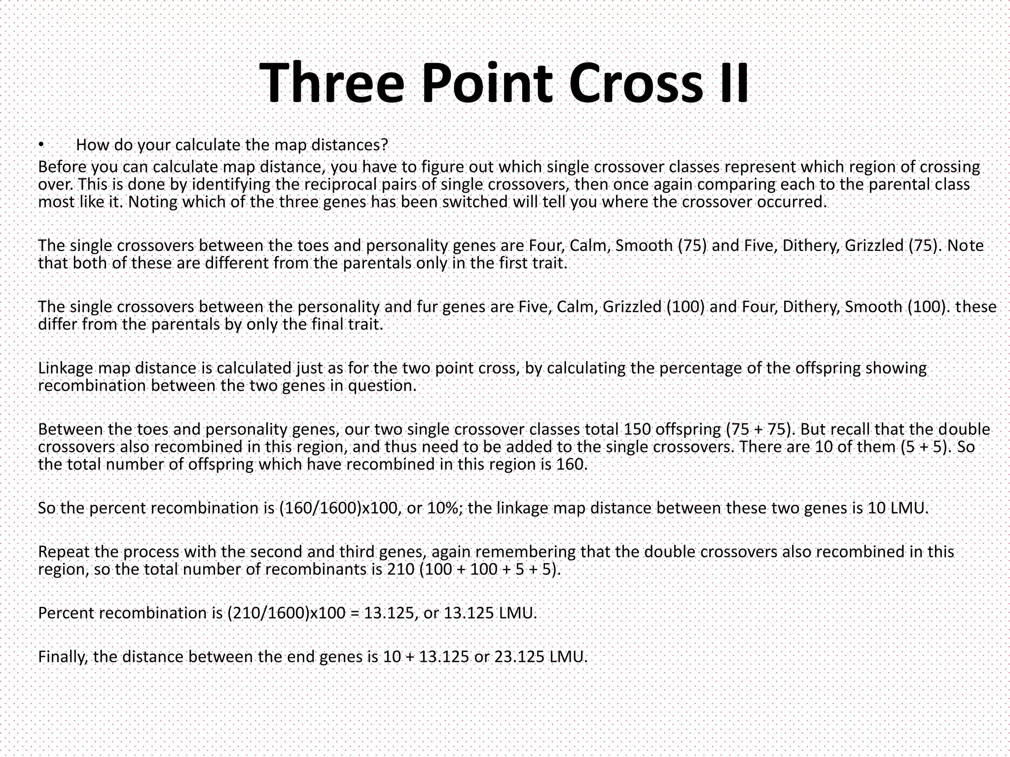 Three Point Cross II
• How do your calculate the map distances?
Before you can calculate map distance, you have to figure out which single crossover classes represent which region of crossing
over. This is done by identifying the reciprocal pairs of single crossovers, then once again comparing each to the parental class
most like it. Noting which of the three genes has been switched will tell you where the crossover occurred.
The single crossovers between the toes and personality genes are Four, Calm, Smooth (75) and Five, Dithery, Grizzled (75). Note
that both of these are different from the parentals only in the first trait.
The single crossovers between the personality and fur genes are Five, Calm, Grizzled (100) and Four, Dithery, Smooth (100). these
differ from the parentals by only the final trait.
Linkage map distance is calculated just as for the two point cross, by calculating the percentage of the offspring showing
recombination between the two genes in question.
Between the toes and personality genes, our two single crossover classes total 150 offspring (75 + 75). But recall that the double
crossovers also recombined in this region, and thus need to be added to the single crossovers. There are 10 of them (5 + 5). So
the total number of offspring which have recombined in this region is 160.
So the percent recombination is (160/1600)x100, or 10%; the linkage map distance between these two genes is 10 LMU.
Repeat the process with the second and third genes, again remembering that the double crossovers also recombined in this
region, so the total number of recombinants is 210 (100 + 100 + 5 + 5).
Percent recombination is (210/1600)x100 = 13.125, or 13.125 LMU.
Finally, the distance between the end genes is 10 + 13.125 or 23.125 LMU.
 