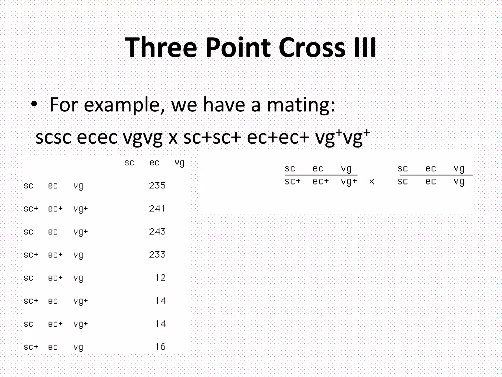 Three Point Cross III
• For example, we have a mating:
scsc ecec vgvg x sc+sc+ ec+ec+ vg+vg+
 