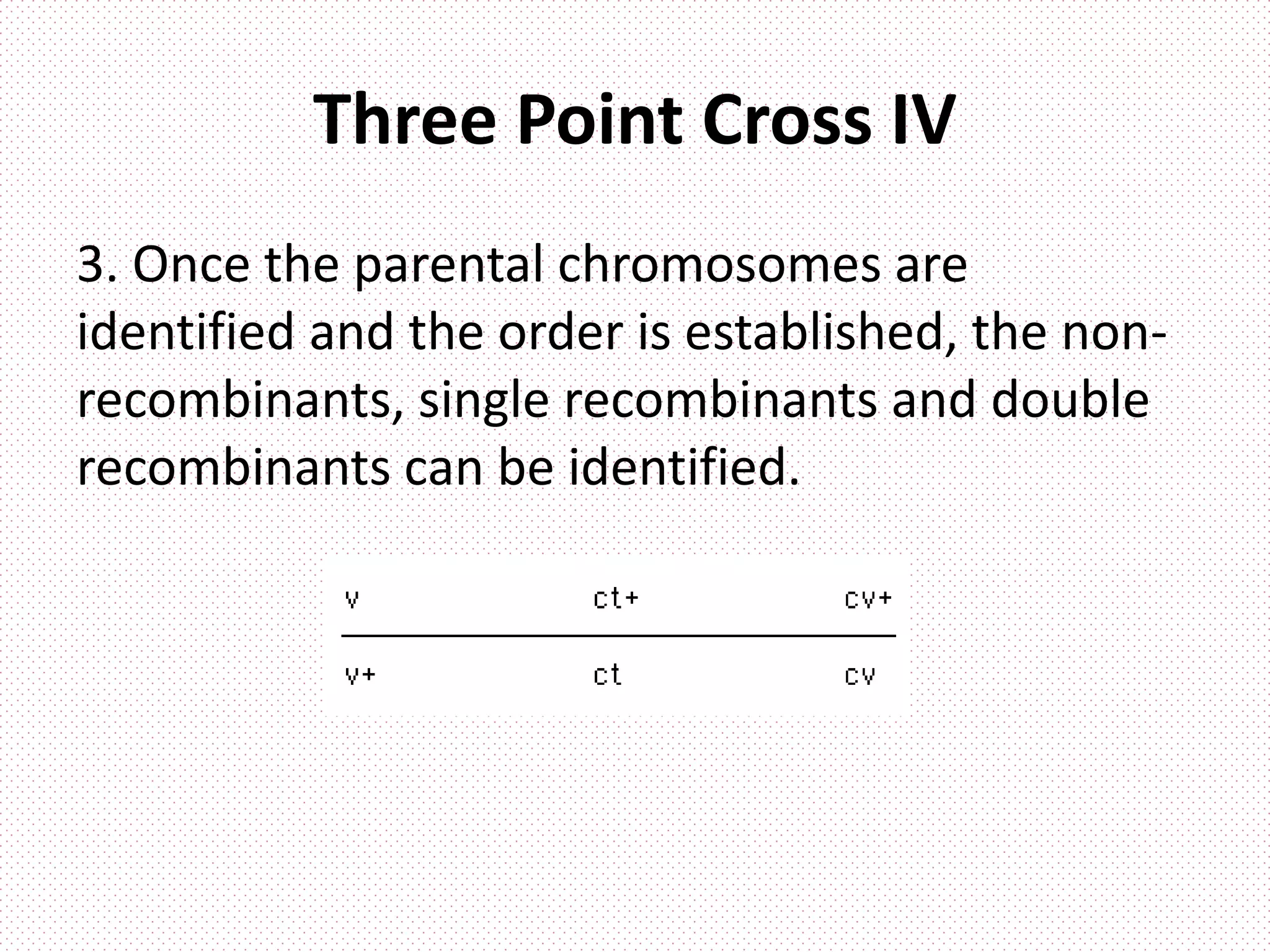 Three Point Cross IV
3. Once the parental chromosomes are
identified and the order is established, the non-
recombinants, single recombinants and double
recombinants can be identified.
 