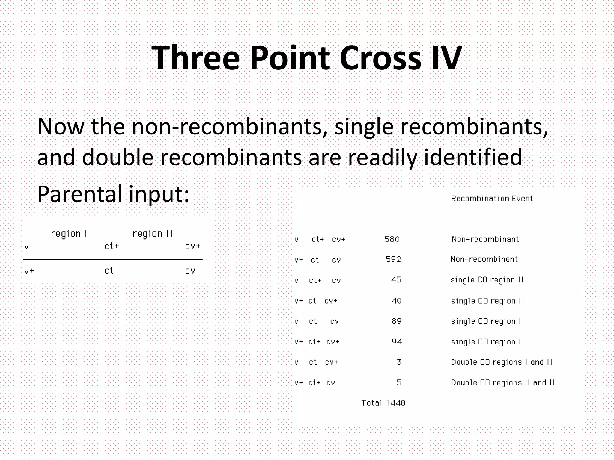 Three Point Cross IV
Now the non-recombinants, single recombinants,
and double recombinants are readily identified
Parental input:
 