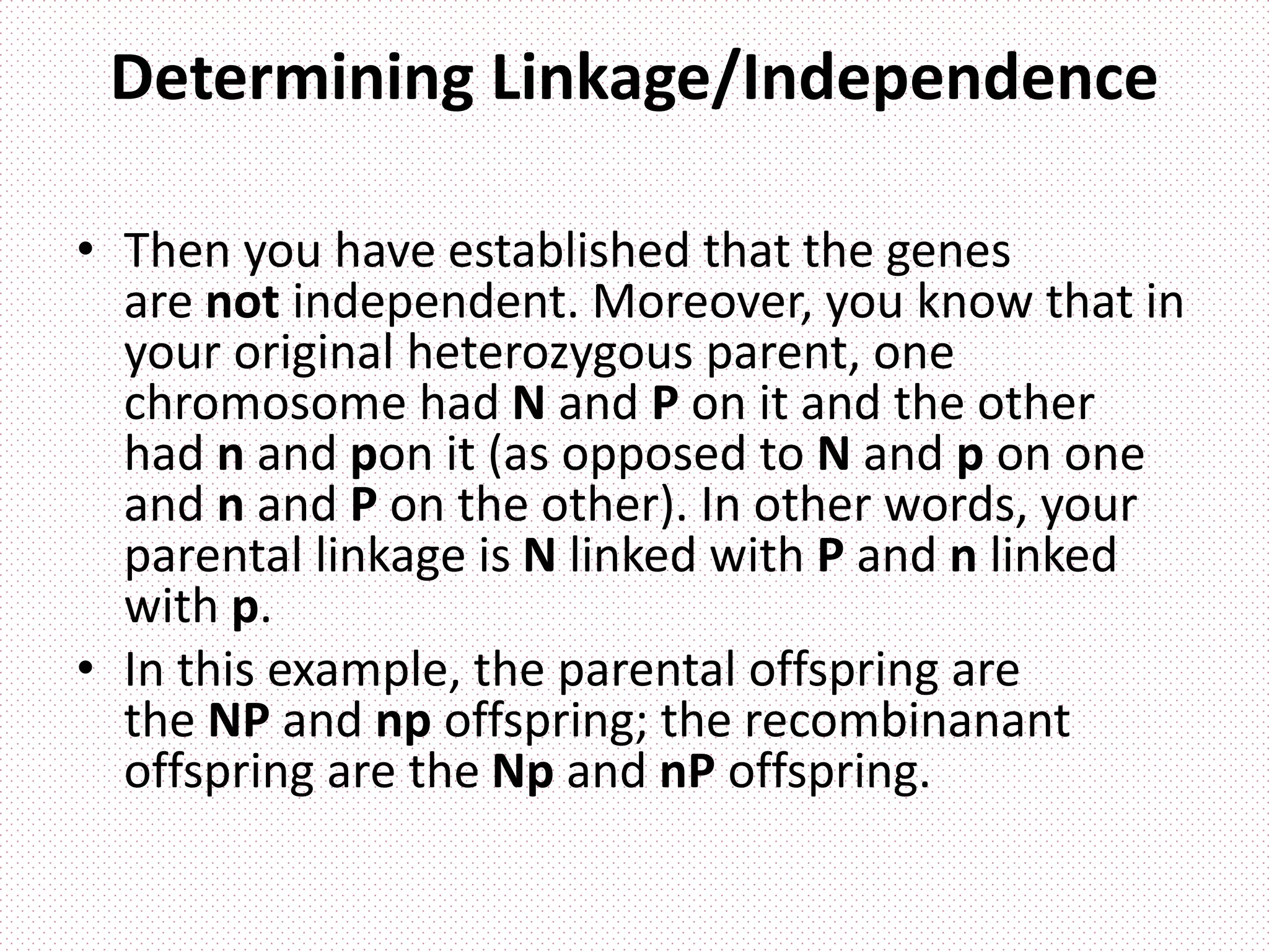 Determining Linkage/Independence
• Then you have established that the genes
are not independent. Moreover, you know that in
your original heterozygous parent, one
chromosome had N and P on it and the other
had n and pon it (as opposed to N and p on one
and n and P on the other). In other words, your
parental linkage is N linked with P and n linked
with p.
• In this example, the parental offspring are
the NP and np offspring; the recombinanant
offspring are the Np and nP offspring.
 