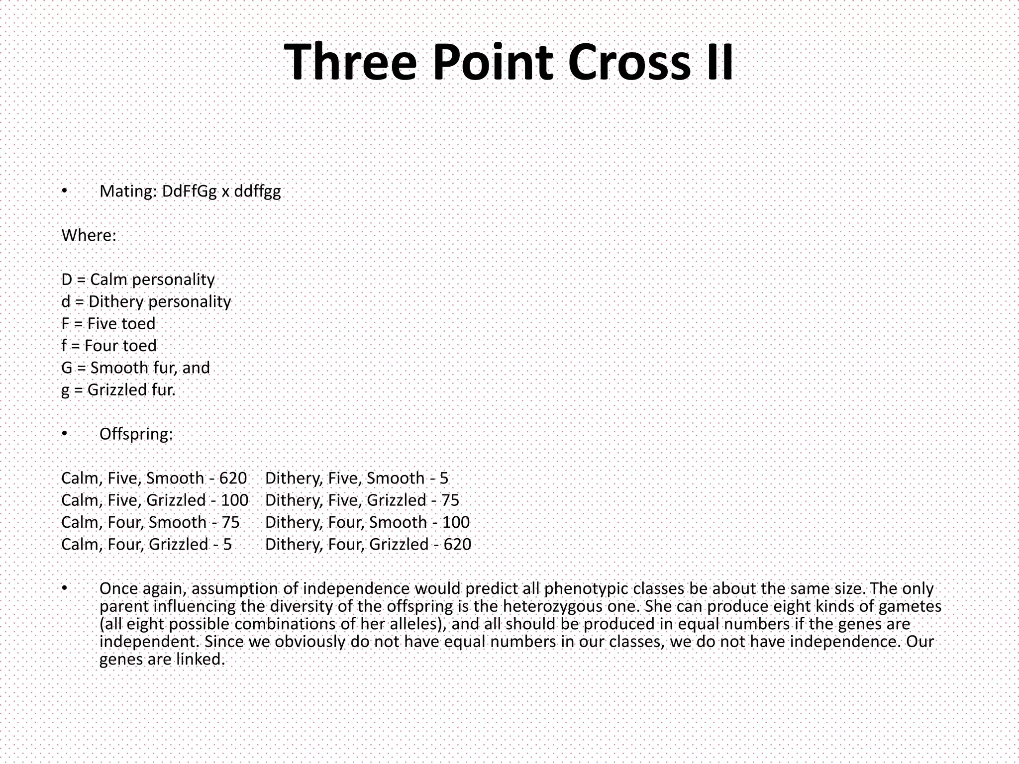 Three Point Cross II
• Mating: DdFfGg x ddffgg
Where:
D = Calm personality
d = Dithery personality
F = Five toed
f = Four toed
G = Smooth fur, and
g = Grizzled fur.
• Offspring:
Calm, Five, Smooth - 620 Dithery, Five, Smooth - 5
Calm, Five, Grizzled - 100 Dithery, Five, Grizzled - 75
Calm, Four, Smooth - 75 Dithery, Four, Smooth - 100
Calm, Four, Grizzled - 5 Dithery, Four, Grizzled - 620
• Once again, assumption of independence would predict all phenotypic classes be about the same size. The only
parent influencing the diversity of the offspring is the heterozygous one. She can produce eight kinds of gametes
(all eight possible combinations of her alleles), and all should be produced in equal numbers if the genes are
independent. Since we obviously do not have equal numbers in our classes, we do not have independence. Our
genes are linked.
 