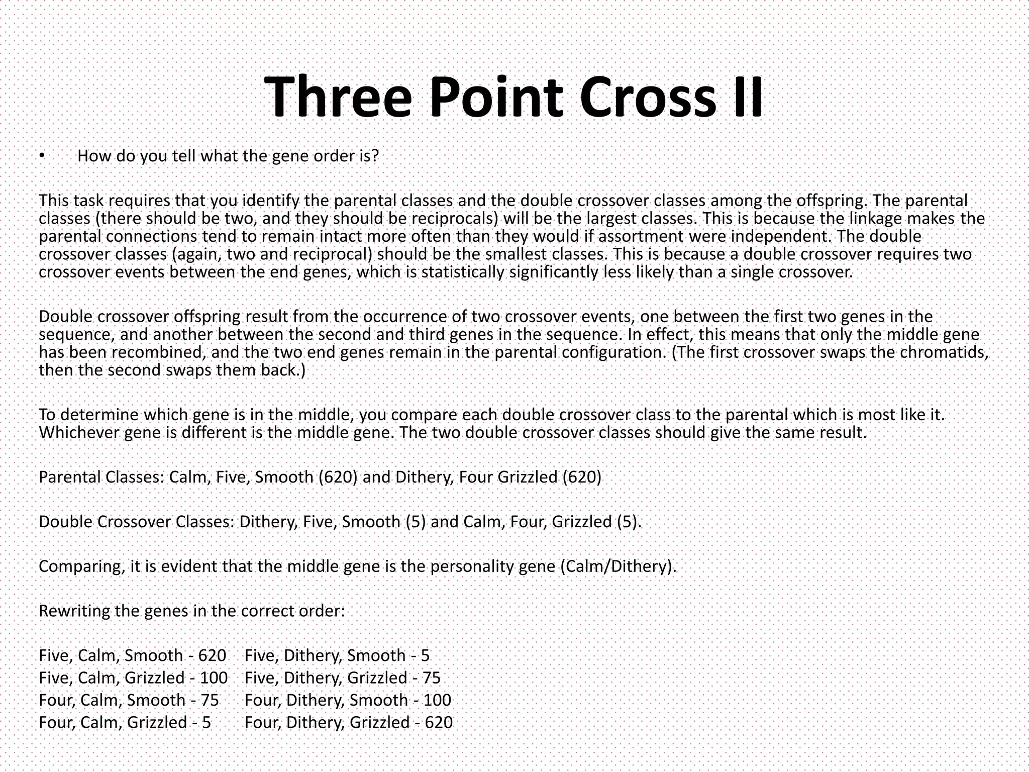 Three Point Cross II
• How do you tell what the gene order is?
This task requires that you identify the parental classes and the double crossover classes among the offspring. The parental
classes (there should be two, and they should be reciprocals) will be the largest classes. This is because the linkage makes the
parental connections tend to remain intact more often than they would if assortment were independent. The double
crossover classes (again, two and reciprocal) should be the smallest classes. This is because a double crossover requires two
crossover events between the end genes, which is statistically significantly less likely than a single crossover.
Double crossover offspring result from the occurrence of two crossover events, one between the first two genes in the
sequence, and another between the second and third genes in the sequence. In effect, this means that only the middle gene
has been recombined, and the two end genes remain in the parental configuration. (The first crossover swaps the chromatids,
then the second swaps them back.)
To determine which gene is in the middle, you compare each double crossover class to the parental which is most like it.
Whichever gene is different is the middle gene. The two double crossover classes should give the same result.
Parental Classes: Calm, Five, Smooth (620) and Dithery, Four Grizzled (620)
Double Crossover Classes: Dithery, Five, Smooth (5) and Calm, Four, Grizzled (5).
Comparing, it is evident that the middle gene is the personality gene (Calm/Dithery).
Rewriting the genes in the correct order:
Five, Calm, Smooth - 620 Five, Dithery, Smooth - 5
Five, Calm, Grizzled - 100 Five, Dithery, Grizzled - 75
Four, Calm, Smooth - 75 Four, Dithery, Smooth - 100
Four, Calm, Grizzled - 5 Four, Dithery, Grizzled - 620
 