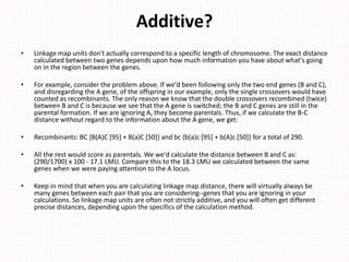 Additive?
• Linkage map units don't actually correspond to a specific length of chromosome. The exact distance
calculated between two genes depends upon how much information you have about what's going
on in the region between the genes.
• For example, consider the problem above. If we'd been following only the two end genes (B and C),
and disregarding the A gene, of the offspring in our example, only the single crossovers would have
counted as recombinants. The only reason we know that the double crossovers recombined (twice)
between B and C is because we see that the A gene is switched; the B and C genes are still in the
parental formation. If we are ignoring A, they become parentals. Thus, if we calculate the B-C
distance without regard to the information about the A gene, we get:
• Recombinants: BC {B(A)C [95] + B(a)C [50]} and bc {b(a)c [95] + b(A)c [50]} for a total of 290.
• All the rest would score as parentals. We we'd calculate the distance between B and C as:
(290/1700) x 100 - 17.1 LMU. Compare this to the 18.3 LMU we calculated between the same
genes when we were paying attention to the A locus.
• Keep in mind that when you are calculating linkage map distance, there will virtually always be
many genes between each pair that you are considering--genes that you are ignoring in your
calculations. So linkage map units are often not strictly additive, and you will often get different
precise distances, depending upon the specifics of the calculation method.
 