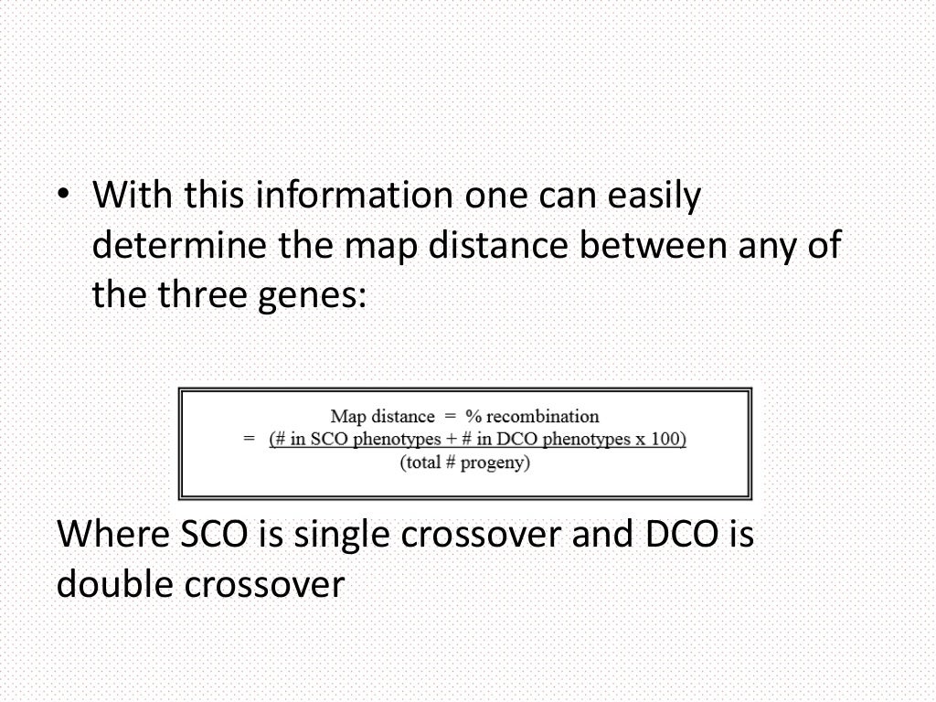 How to solve linkage map problems