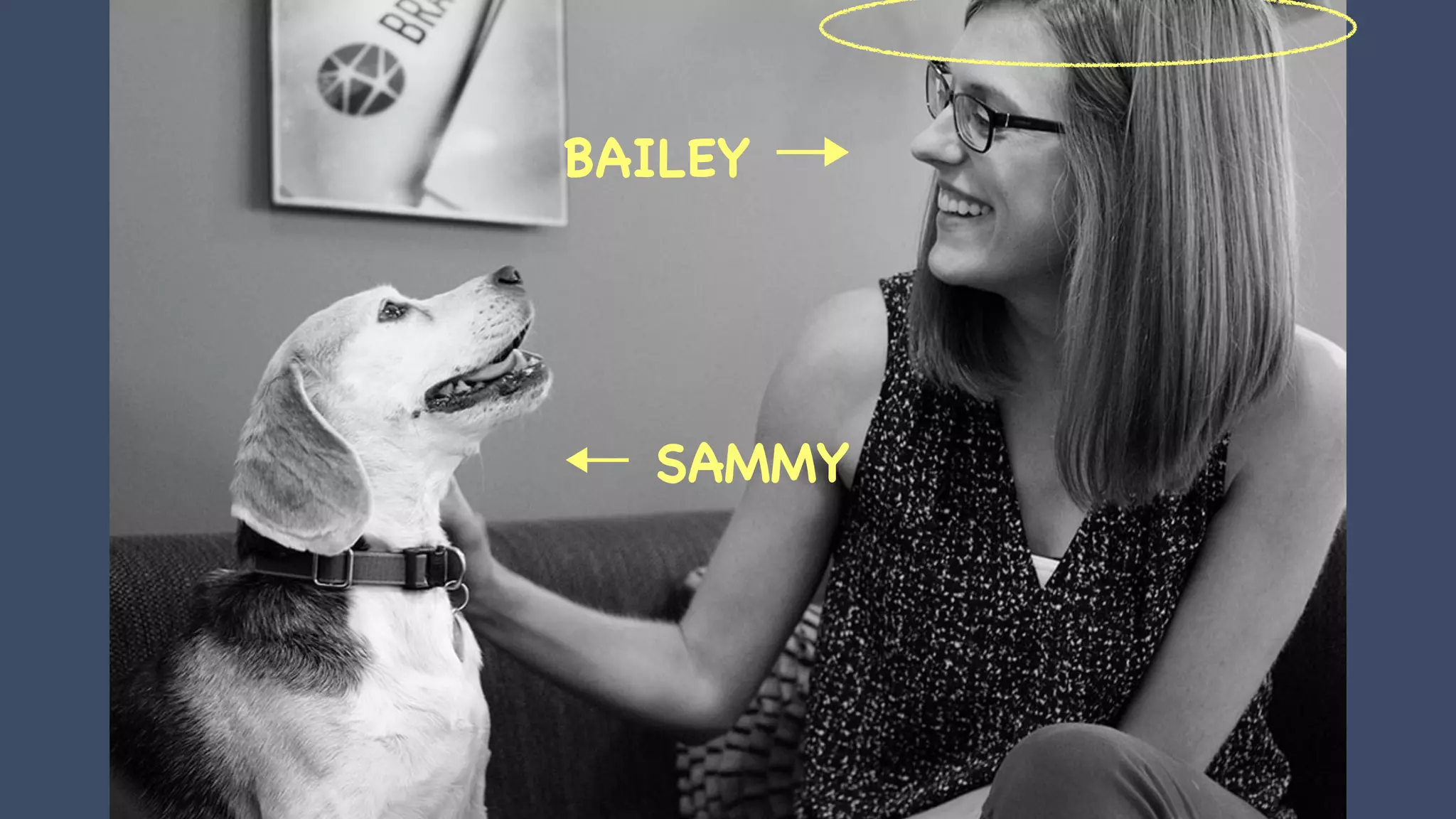 BAILEY →
← SAMMY
 