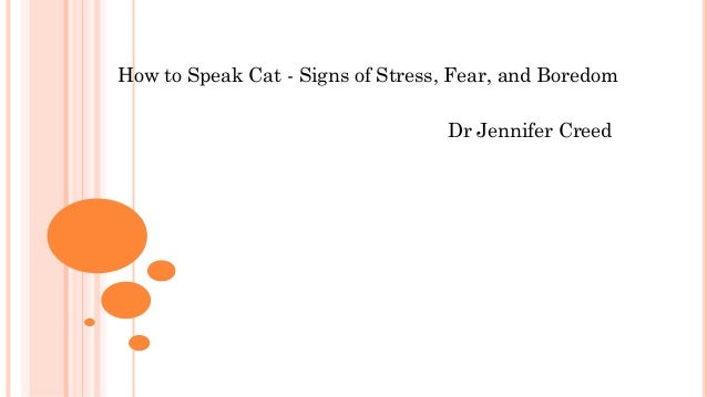 How to Speak Cat - Signs of Stress, Fear, and Boredom
Dr Jennifer Creed
 