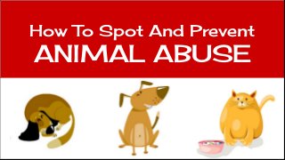 How To Spot And Prevent
ANIMAL ABUSE
 