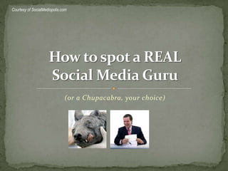 (or a Chupacabra, your choice) How to spot a REALSocial Media Guru Courtesy of SocialMediopolis.com 