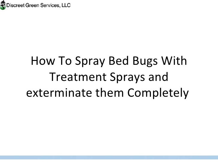 How to spray bed bugs with treatment sprays and exterminate them completely