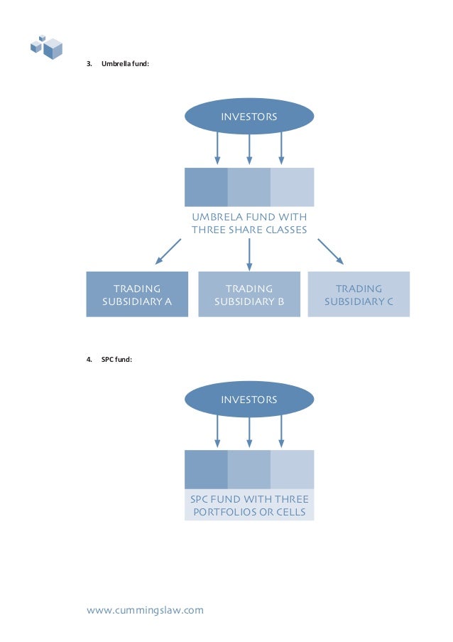 How To Start A Hedge Fund Cummings Final
