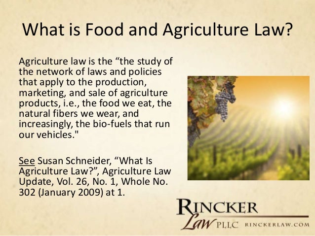 How to Start and Grow a Food and Agriculture Law Practice