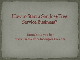 Brought to you by:
www.TreeServiceInSanJoseCA.com
 