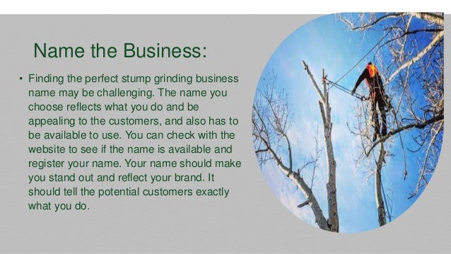 • Finding the perfect stump grinding business
name may be challenging. The name you
choose reflects what you do and be
appealing to the customers, and also has to
be available to use. You can check with the
website to see if the name is available and
register your name. Your name should make
you stand out and reflect your brand. It
should tell the potential customers exactly
what you do.
Name the Business:
Did you know that you can’t sink in the
Dead Sea? It hs 8 to 9 times more salt
than all the other oceans and seas,
creating a buoyancy that causes you to
float.
 