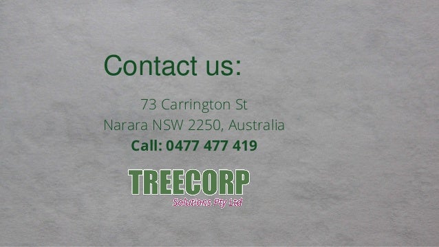 Contact us:
73 Carrington St
Narara NSW 2250, Australia
Call: 0477 477 419
 