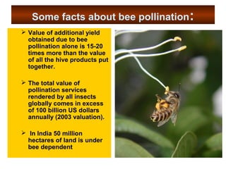 Some facts about bee pollination:
 Value of additional yield
obtained due to bee
pollination alone is 15-20
times more than the value
of all the hive products put
together.
 The total value of
pollination services
rendered by all insects
globally comes in excess
of 100 billion US dollars
annually (2003 valuation).
 In India 50 million
hectares of land is under
bee dependent
 