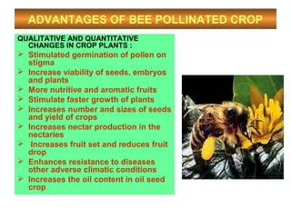 ADVANTAGES OF BEE POLLINATED CROP
QUALITATIVE AND QUANTITATIVE
CHANGES IN CROP PLANTS :
 Stimulated germination of pollen on
stigma
 Increase viability of seeds, embryos
and plants
 More nutritive and aromatic fruits
 Stimulate faster growth of plants
 Increases number and sizes of seeds
and yield of crops
 Increases nectar production in the
nectaries
 Increases fruit set and reduces fruit
drop
 Enhances resistance to diseases
other adverse climatic conditions
 Increases the oil content in oil seed
crop
 