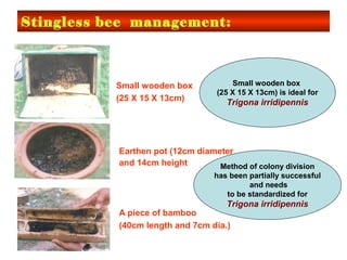 Stingless bee management:
Small wooden box
(25 X 15 X 13cm)
Earthen pot (12cm diameter
and 14cm height)
A piece of bamboo
(40cm length and 7cm dia.)
Small wooden box
(25 X 15 X 13cm) is ideal for
Trigona irridipennis
Method of colony division
has been partially successful
and needs
to be standardized for
Trigona irridipennis
 