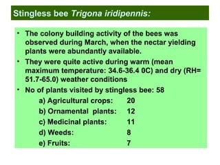 Stingless bee Trigona iridipennis:
• The colony building activity of the bees was
observed during March, when the nectar yielding
plants were abundantly available.
• They were quite active during warm (mean
maximum temperature: 34.6-36.4 0C) and dry (RH=
51.7-65.0) weather conditions
• No of plants visited by stingless bee: 58
a) Agricultural crops: 20
b) Ornamental plants: 12
c) Medicinal plants: 11
d) Weeds: 8
e) Fruits: 7
 