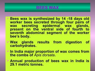 BEES WAX
 Bees wax is synthesized by 14 -18 days old
worker bees secreted through four pairs of
wax secreting epidermal wax glands,
present on the ventral side of fourth to
seventh abdominal segment of the worker
bee’s body.
 Wax glands results from digestion of
carbohydrates.
 In India major proportion of wax comes from
the combs of Apis dorsata.
 Annual production of bees wax in India is
29.1 metric tonnes.
 
