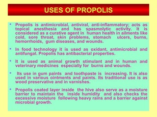 USES OF PROPOLIS
 Propolis is antimicrobial, antiviral, anti-inflammatory; acts as
topical anesthesia and has spasmolytic activity. It is
considered as a curative agent in human health in ailments like
cold, sore throat, skin problems, stomach ulcers, burns,
hemorrhoids, gum diseases, and wounds.
 In food technology it is used as oxidant, antimicrobial and
antifungal. Propolis has antibacterial properties.
 It is used as animal growth stimulant and in human and
veterinary medicines especially for burns and wounds.
 Its use in gum paints and toothpaste is increasing. It is also
used in various ointments and paints. Its traditional use is as
wood preservative and in varnishes.
 Propolis coated layer inside the hive also serve as a moisture
barrier to maintain the inside humidity and also checks the
excessive moisture following heavy rains and a barrier against
microbial growth.
 