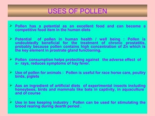USES OF POLLEN
 Pollen has a potential as an excellent food and can become a
competitive food item in the human diets
 Potential of pollen in human health / well being : Pollen is
undoubtedly beneficial for the treatment of chronic prostatitis,
probably because pollen contains high concentration of Zn which is
the key element in prostrate gland functioning.
 Pollen consumption helps protecting against the adverse effect of
x- rays, reduces symptoms of hay fever.
 Use of pollen for animals : Pollen is useful for race horse care, poultry
birds, piglets
 Aas an ingredient of artificial diets of experimental insects including
honeybees, birds and mammals like bats in captivity, in aquaculture
and of course
.
 Use in bee keeping industry : Pollen can be used for stimulating the
brood rearing during dearth period .
 