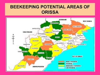 BEEKEEPING POTENTIAL AREAS OF
ORISSA
 