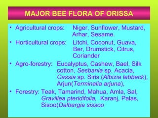 MAJOR BEE FLORA OF ORISSA
• Agricultural crops: Niger, Sunflower, Mustard,
Arhar, Sesame.
• Horticultural crops: Litchi, Coconut, Guava,
Ber, Drumstick, Citrus,
Coriander
• Agro-forestry: Eucalyptus, Cashew, Bael, Silk
cotton, Sesbania sp. Acacia,
Cassia sp. Siris (Albizia lebbeck),
Arjun(Terminalia arjuna),
• Forestry: Teak, Tamarind, Mahua, Amla, Sal,
Gravillea pteridifolia, Karanj, Palas,
Sisoo(Dalbergia sissoo
 