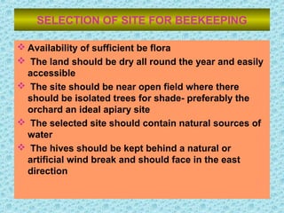 SELECTION OF SITE FOR BEEKEEPING
 Availability of sufficient be flora
 The land should be dry all round the year and easily
accessible
 The site should be near open field where there
should be isolated trees for shade- preferably the
orchard an ideal apiary site
 The selected site should contain natural sources of
water
 The hives should be kept behind a natural or
artificial wind break and should face in the east
direction
 